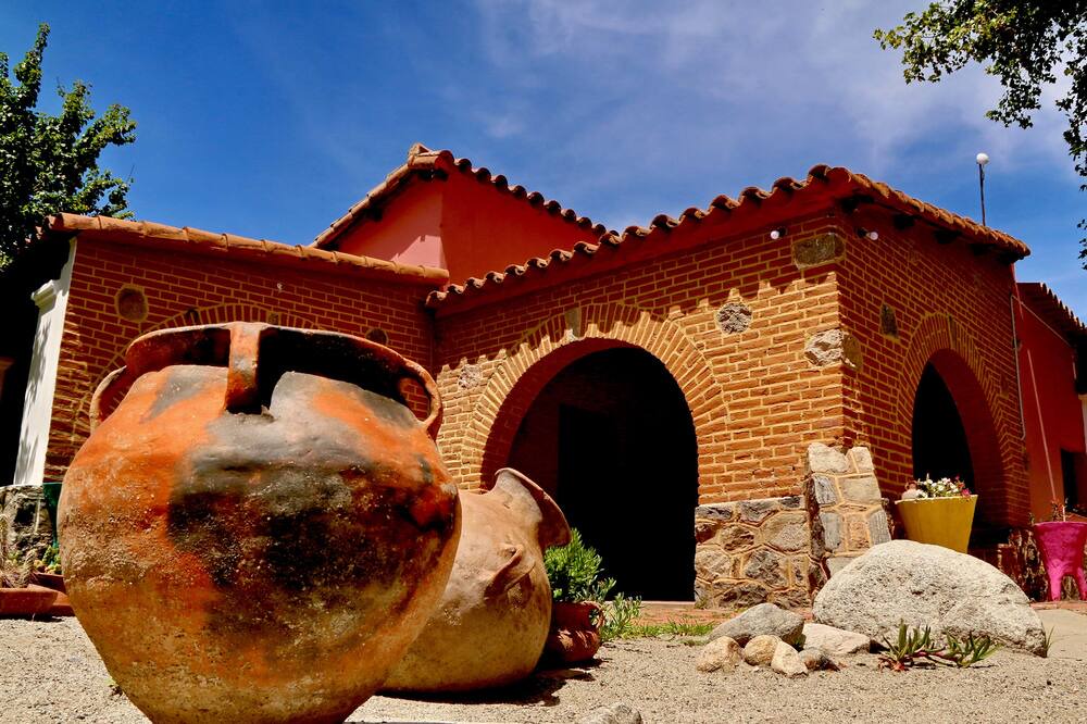 Photo of Others in Cafayate