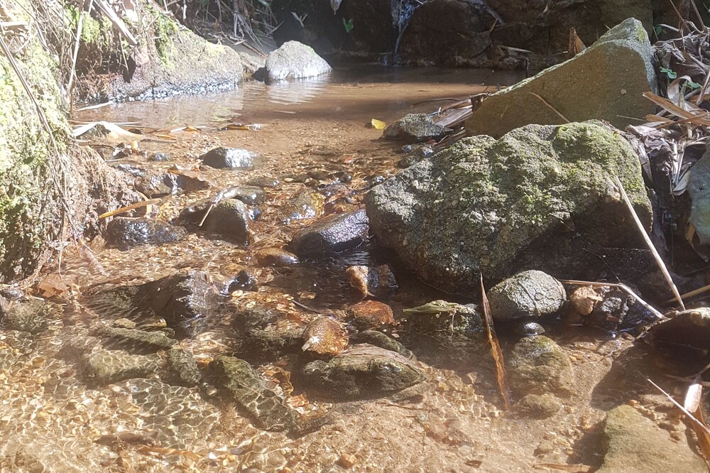Photo of Outdoor in Conceicao de Jacarei