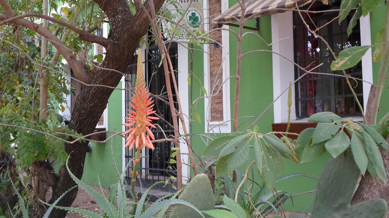 Photo of Outdoor in Colon