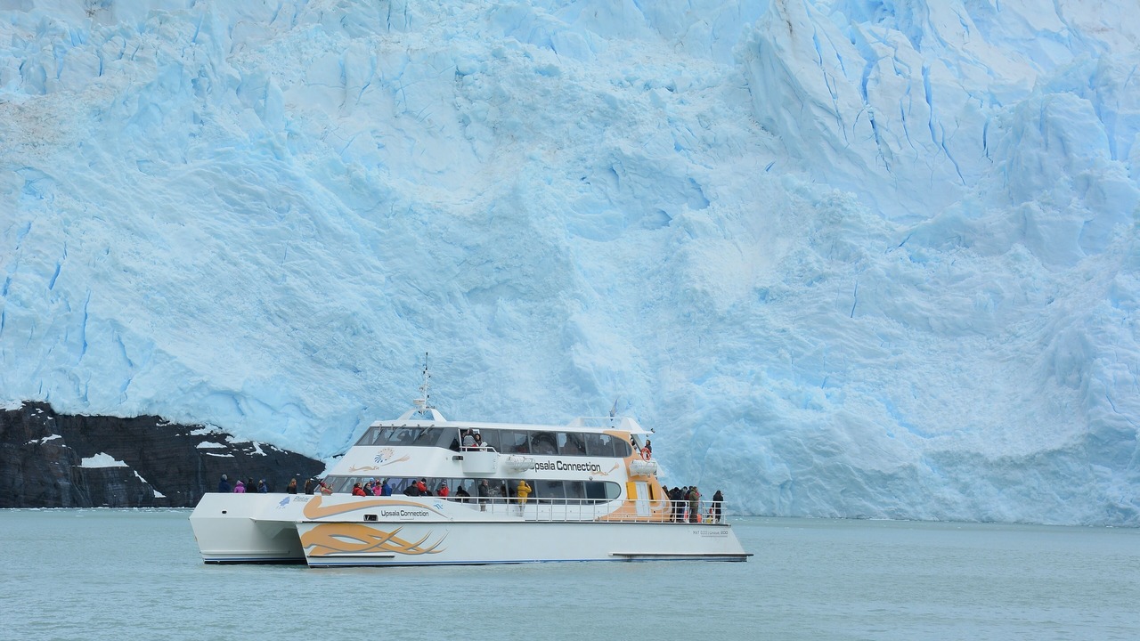 Photo of Others in Macrozona Meseta Cerro Calafate