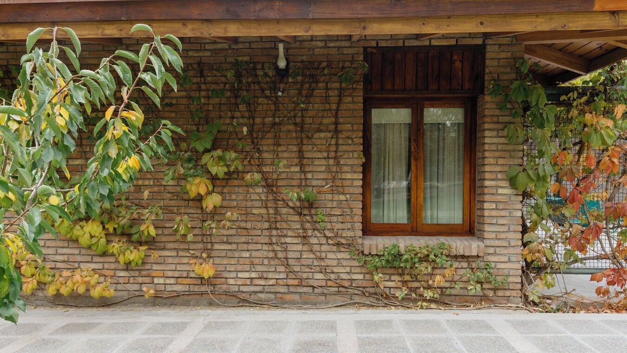 Photo of Outdoor in Lujan de Cuyo