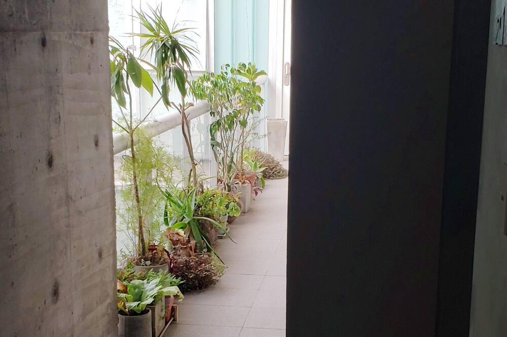 Photo of Patio Balcony in La Plata