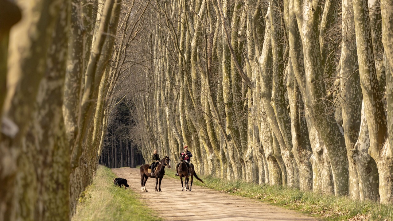 Photo of Others in San Miguel del Monte