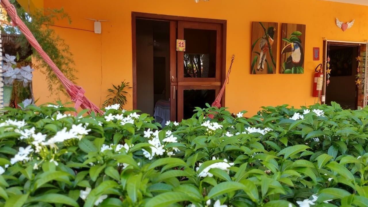 Photo of Outdoor in Centro