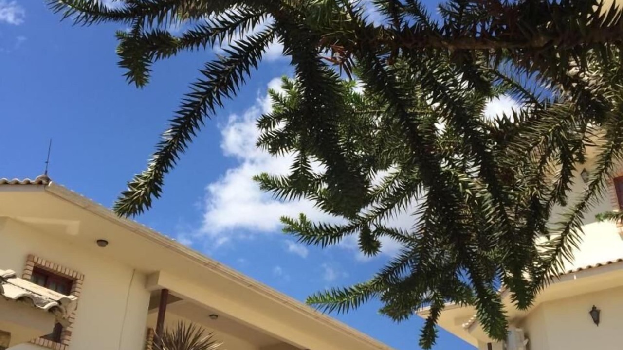 Photo of Outdoor in Lages