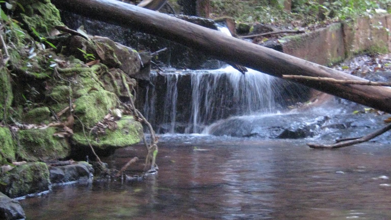 Photo of Outdoor in Mandaguacu