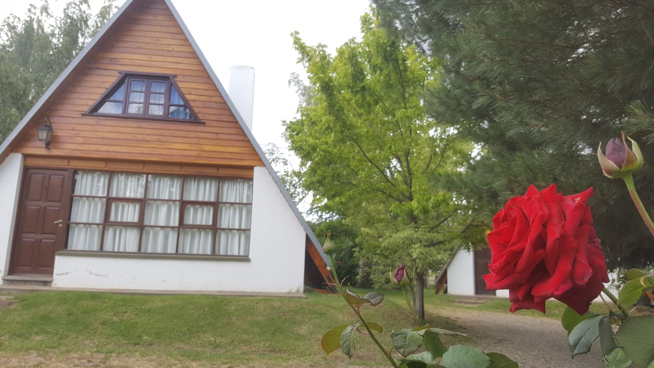 Photo of Others in Esquel
