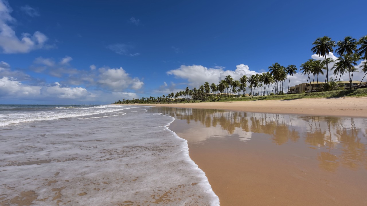 Photo of Others in Praia do Forte