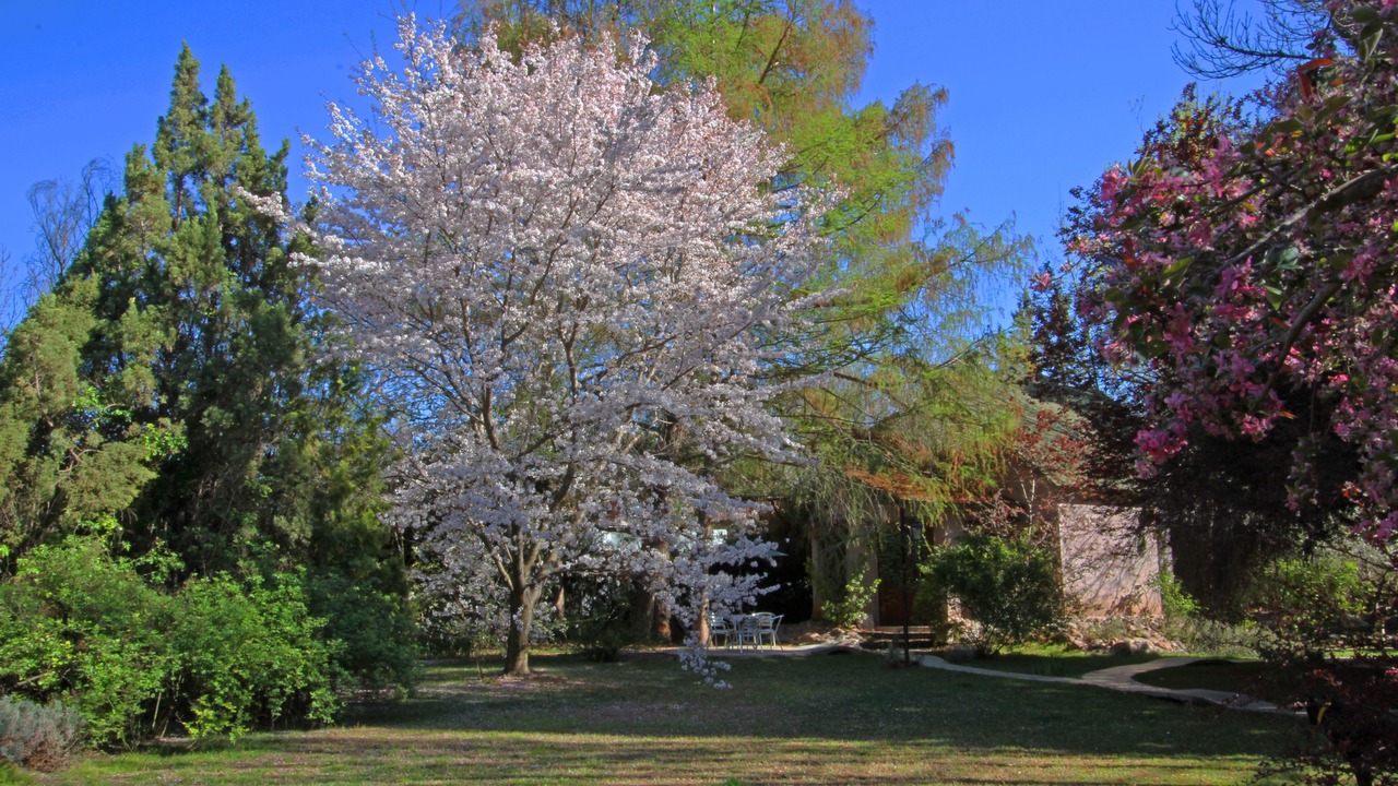 Photo of Outdoor in Chacras de Coria