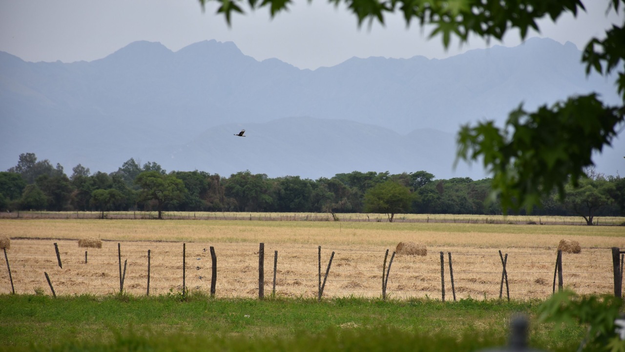 Photo of Outdoor in Chicoana