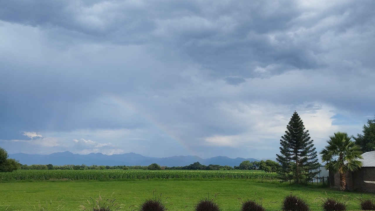 Photo of Outdoor in Chicoana