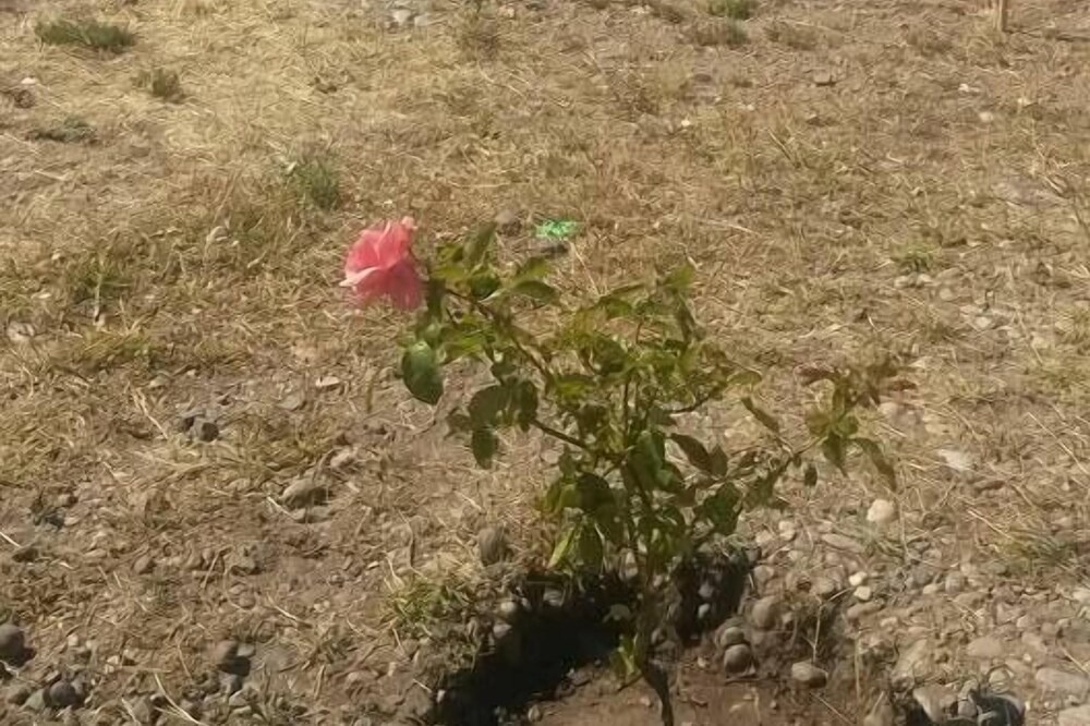 Photo of Outdoor in Gobernador Costa