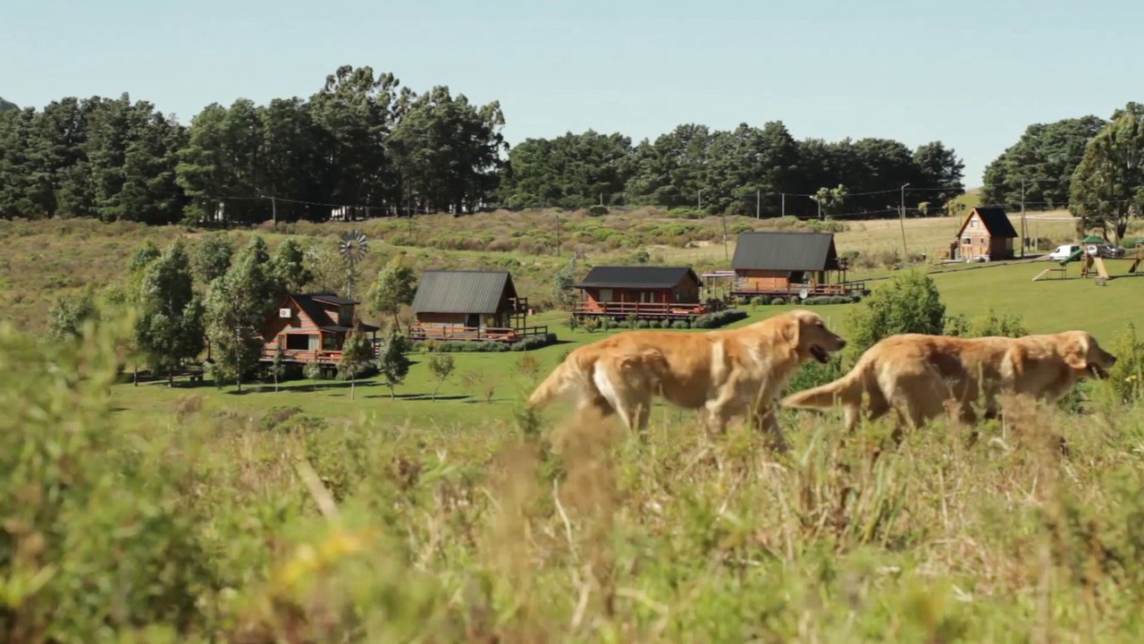 Photo of Outdoor in Tandil