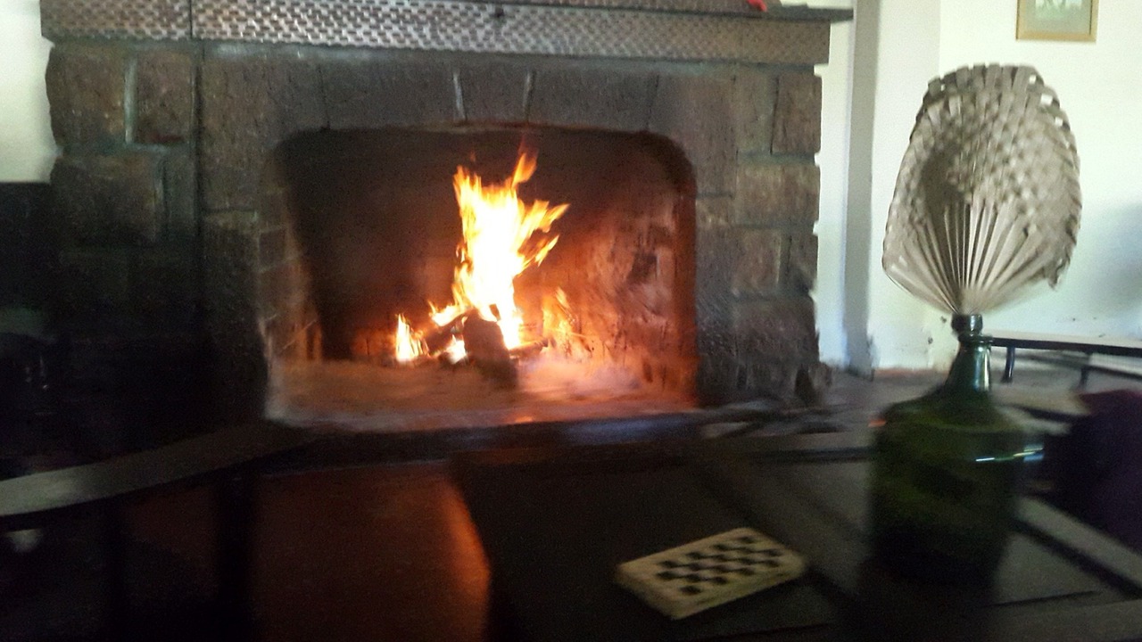 Photo of Livingroom in Villa Del Dique