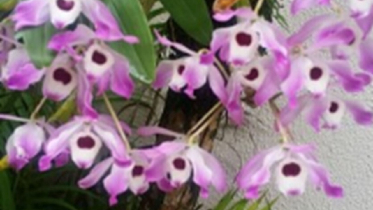 Photo of Outdoor in Jardim Santa Tereza
