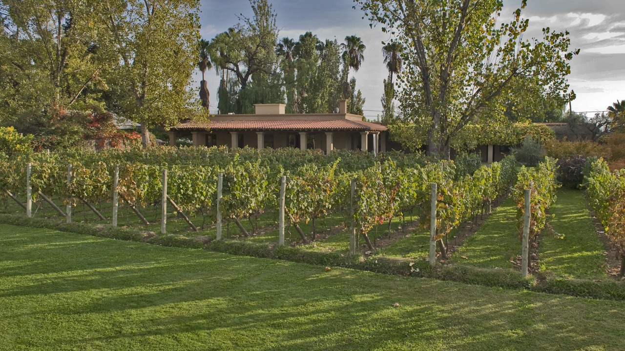 Photo of Outdoor in Maipu