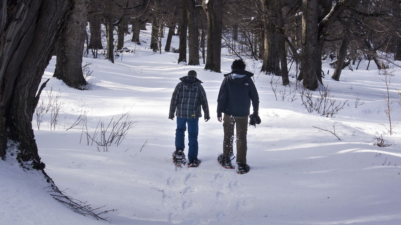 Photo of Others in Esquel