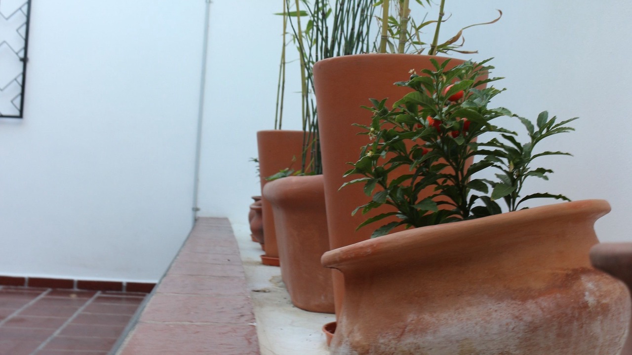 Photo of Patio Balcony in Villa Mercedes