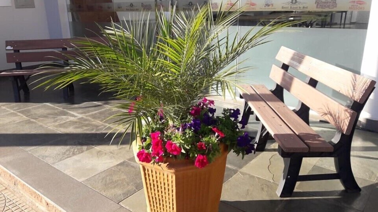 Photo of Patio Balcony in Sao Pedro do Butia