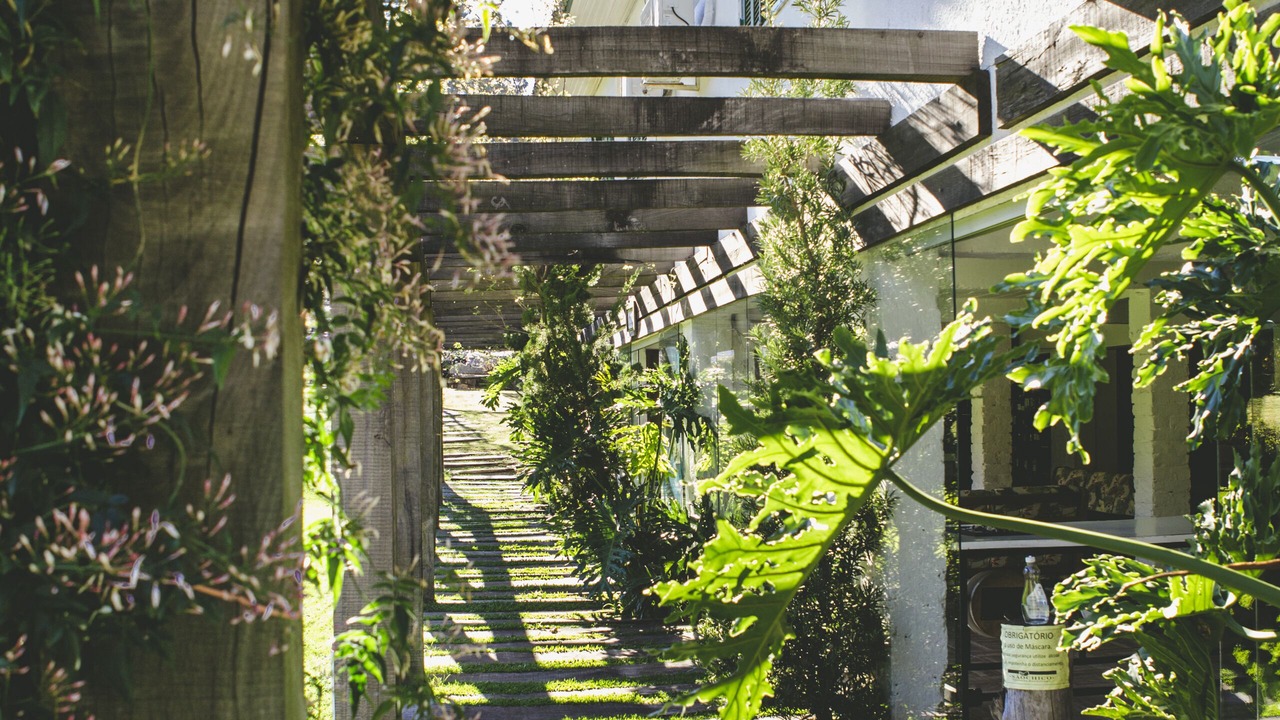 Photo of Outdoor in Sao Francisco de Paula