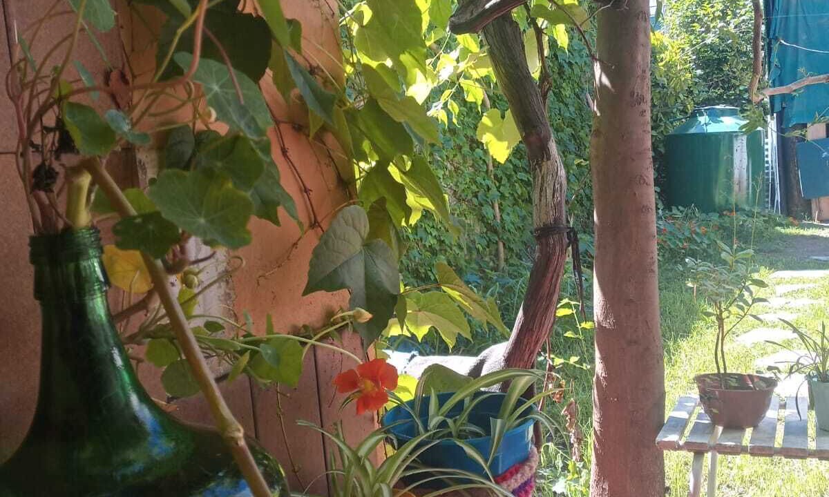 Photo of Outdoor in La Plata