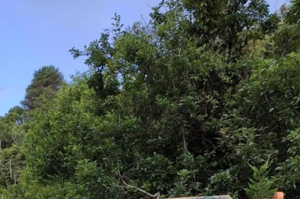 Photo of Outdoor in Vila Britania