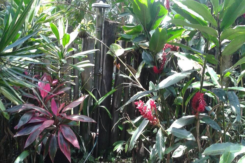 Photo of Outdoor in Itamambuca