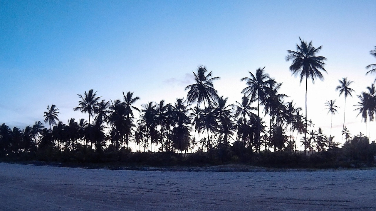 Photo of Others in Ilheus