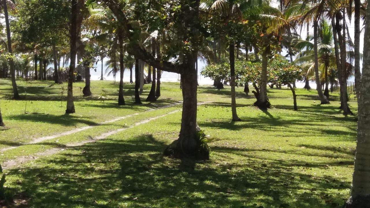 Photo of Outdoor in Ilheus