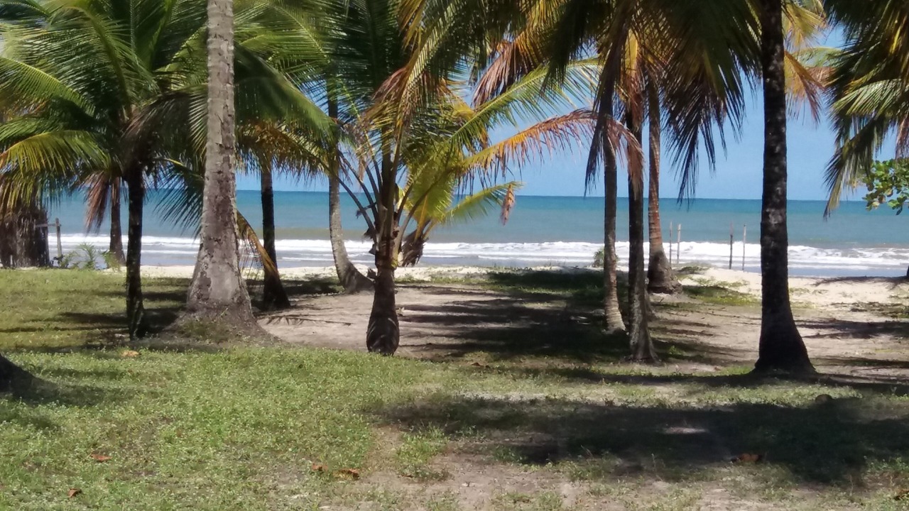 Photo of Others in Ilheus