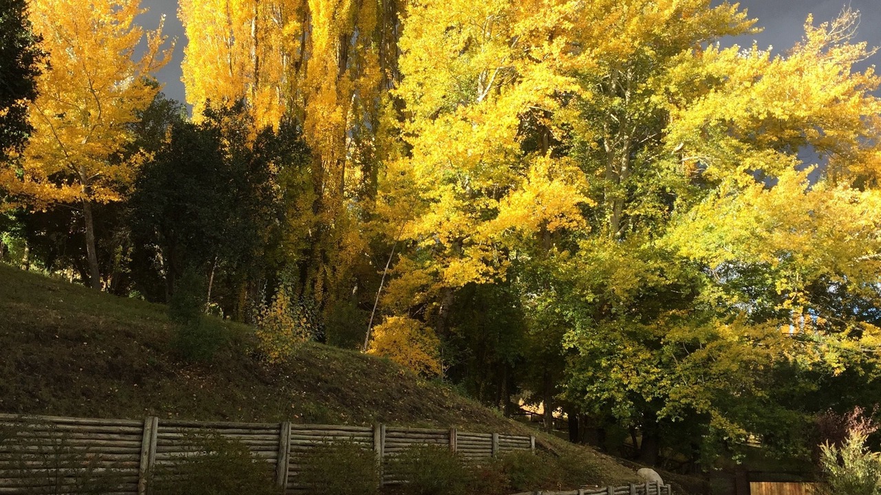 Photo of Outdoor in San Martin de los Andes
