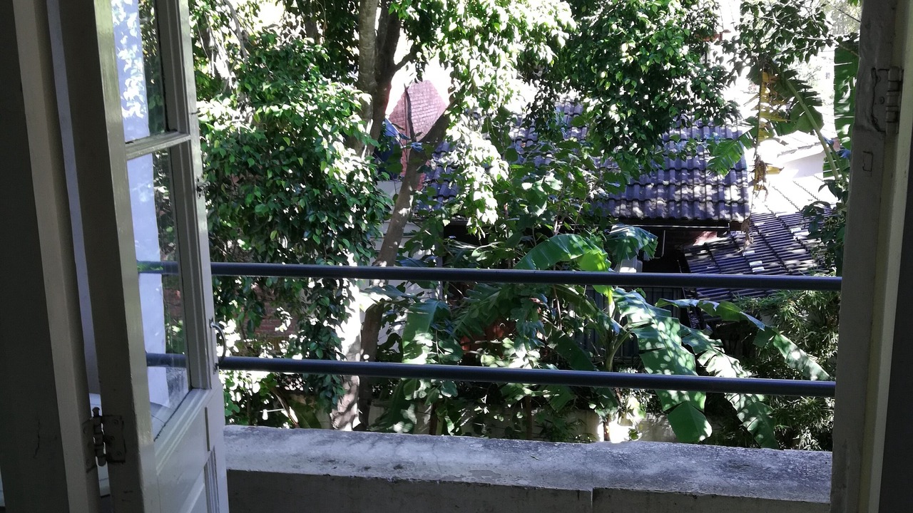 Photo of Outdoor in Adrogue