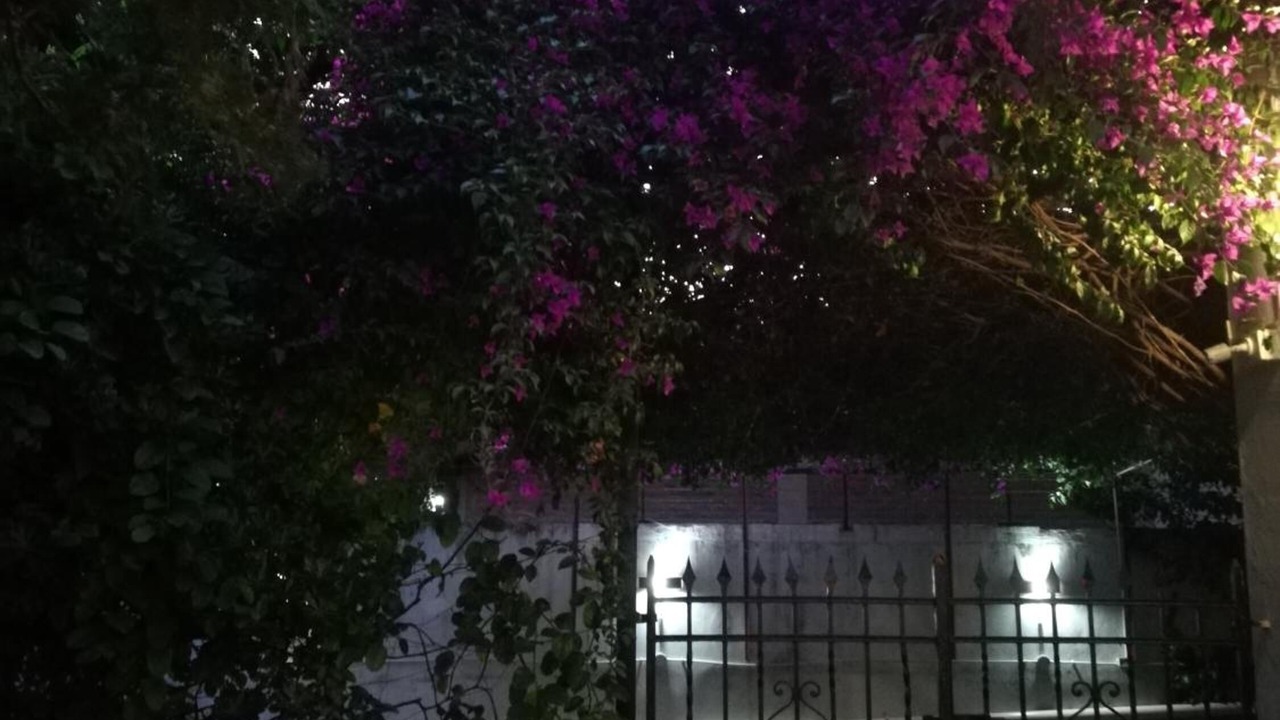 Photo of Outdoor in Adrogue