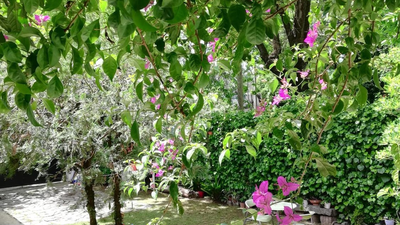 Photo of Outdoor in Adrogue
