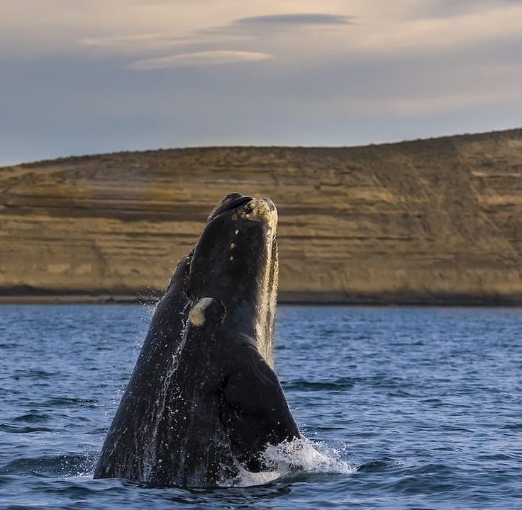 Photo of Outdoor in Puerto Madryn