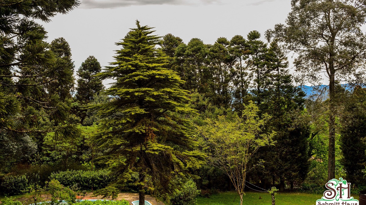 Photo of Outdoor in Canela