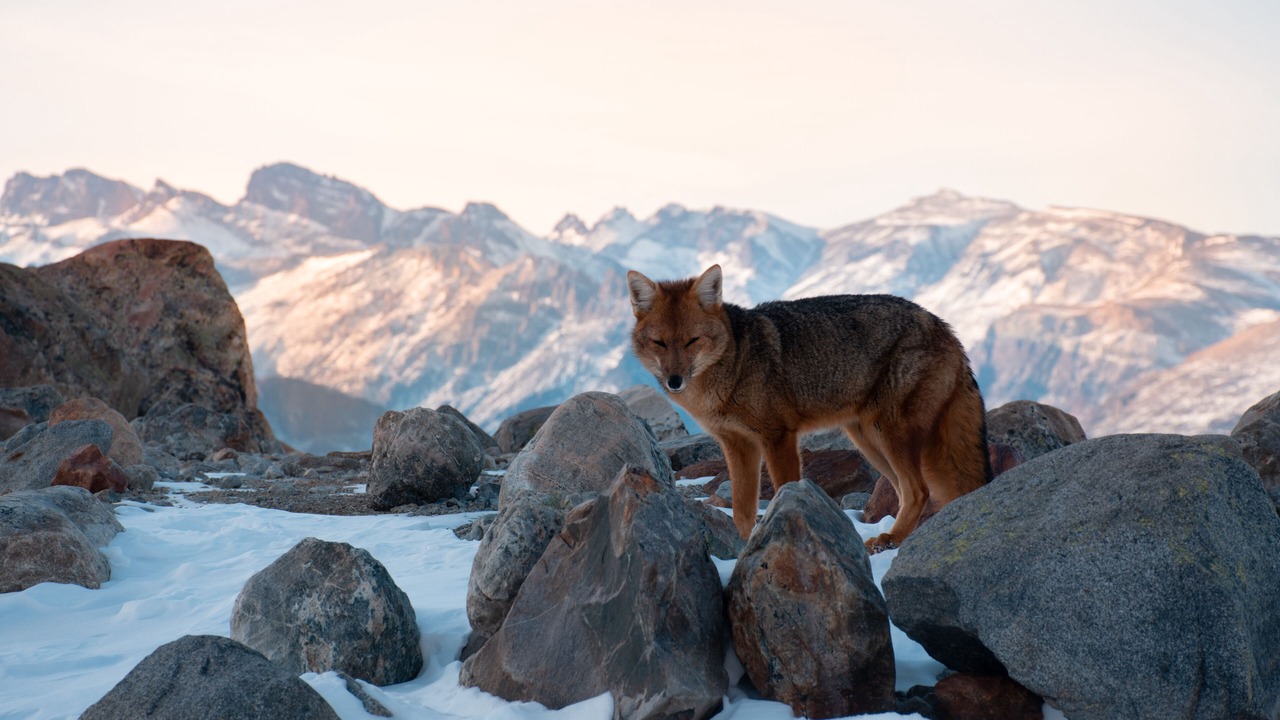 Photo of Outdoor in El Chalten