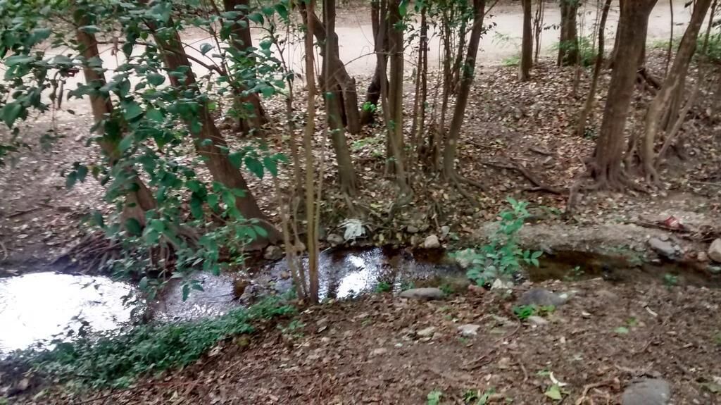 Photo of Outdoor in Merlo