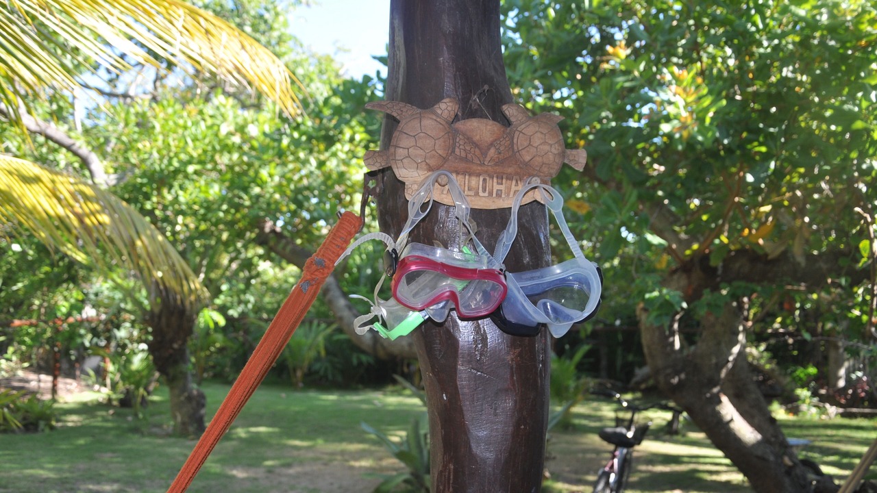 Photo of Outdoor in Barra Grande