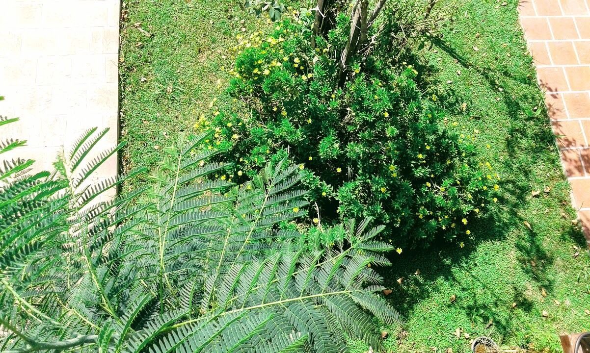 Photo of Outdoor in Dique Lujan