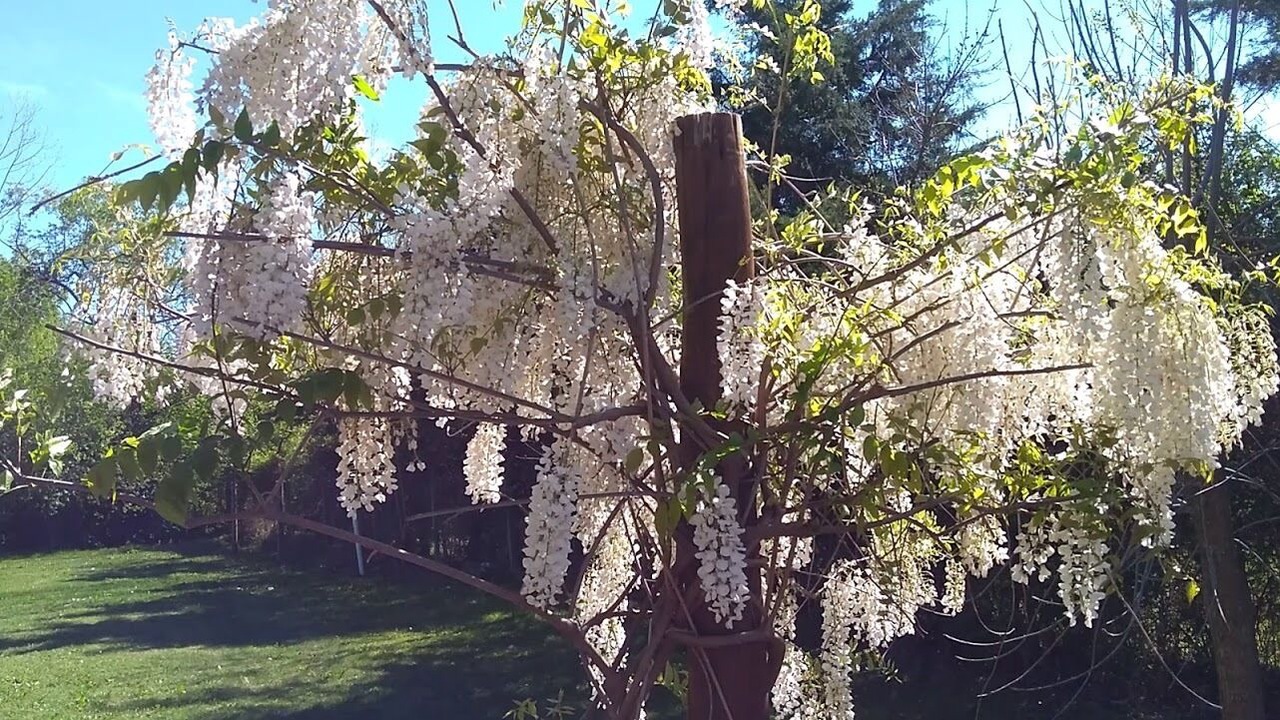 Photo of Outdoor in Dique Lujan