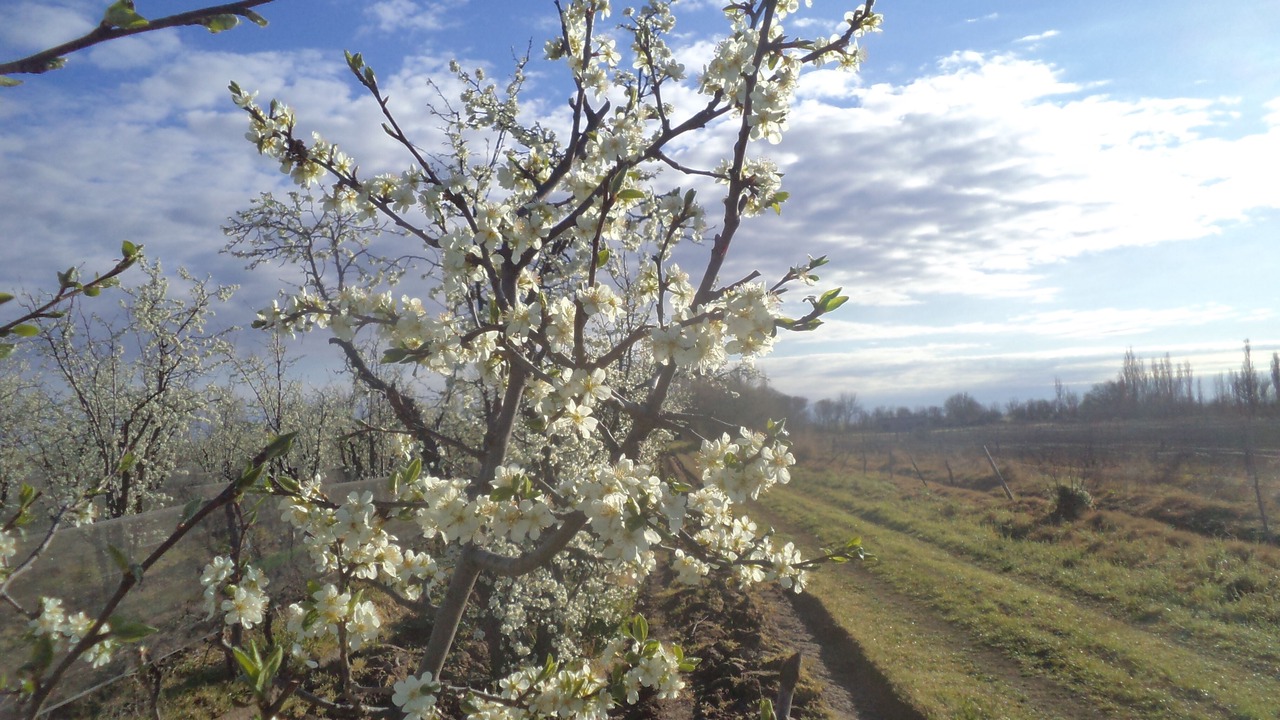 Photo of Outdoor in Cuadro Nacional