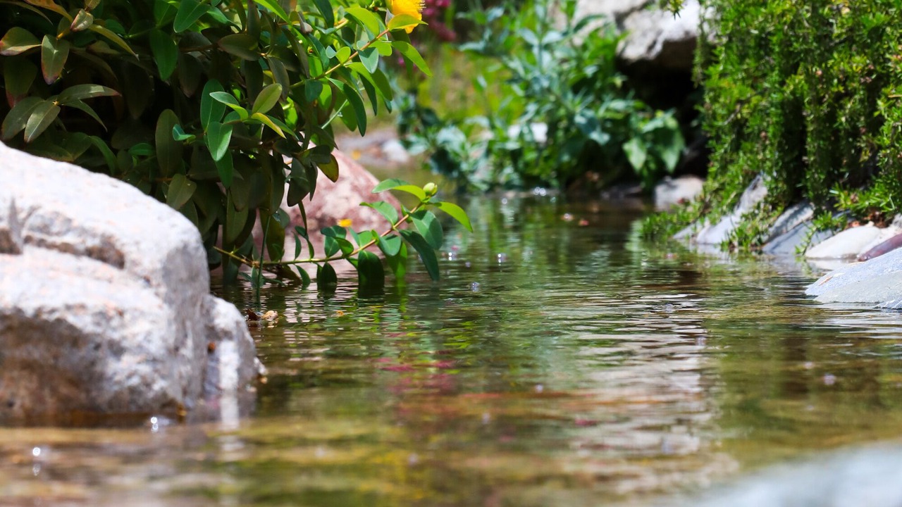 Photo of Outdoor in Salto