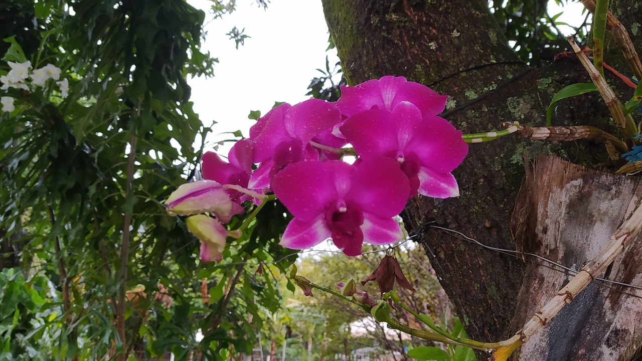 Photo of Outdoor in Olimpia