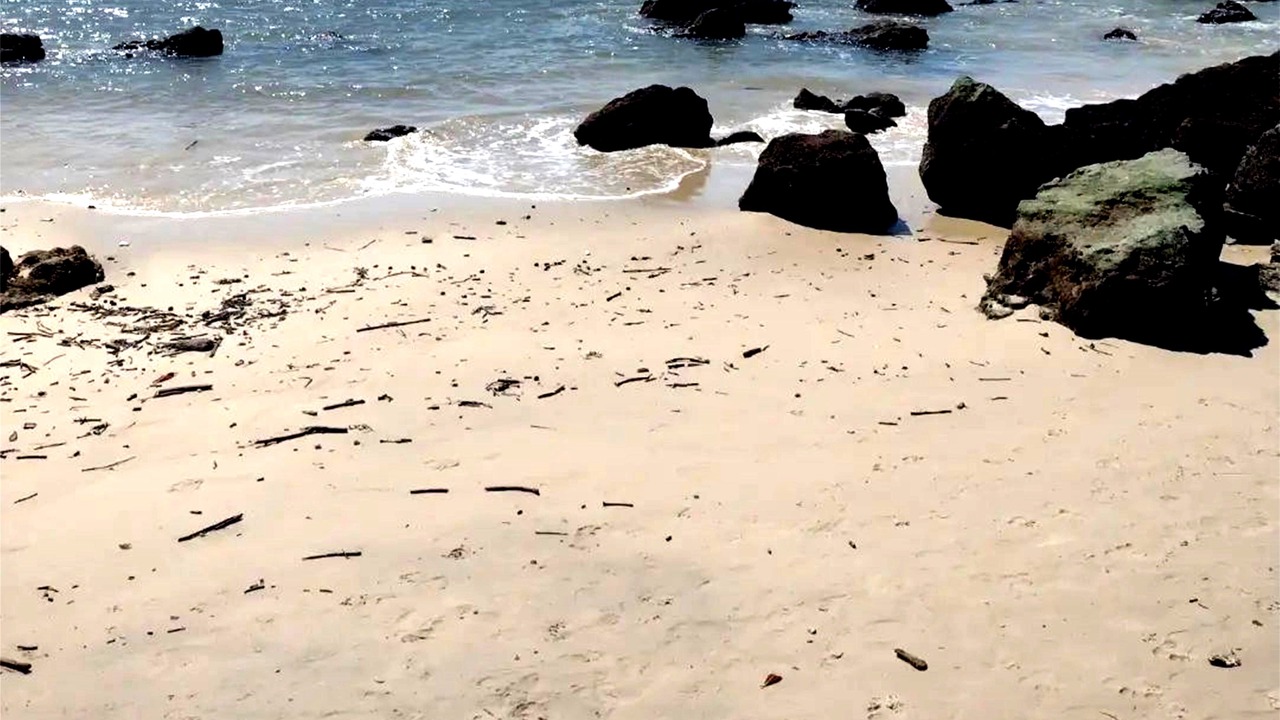 Photo of Others in Morro de Sao Paulo