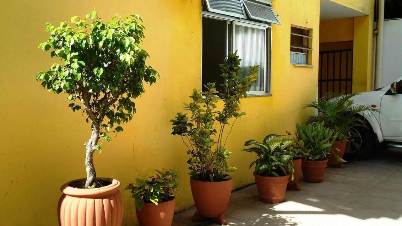 Photo of Outdoor in Piata