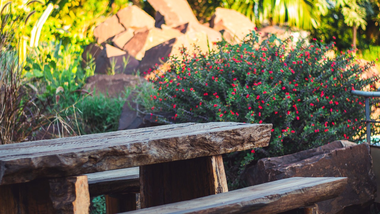 Photo of Outdoor in Posadas