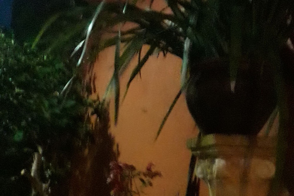 Photo of Outdoor in Alto de Buzios