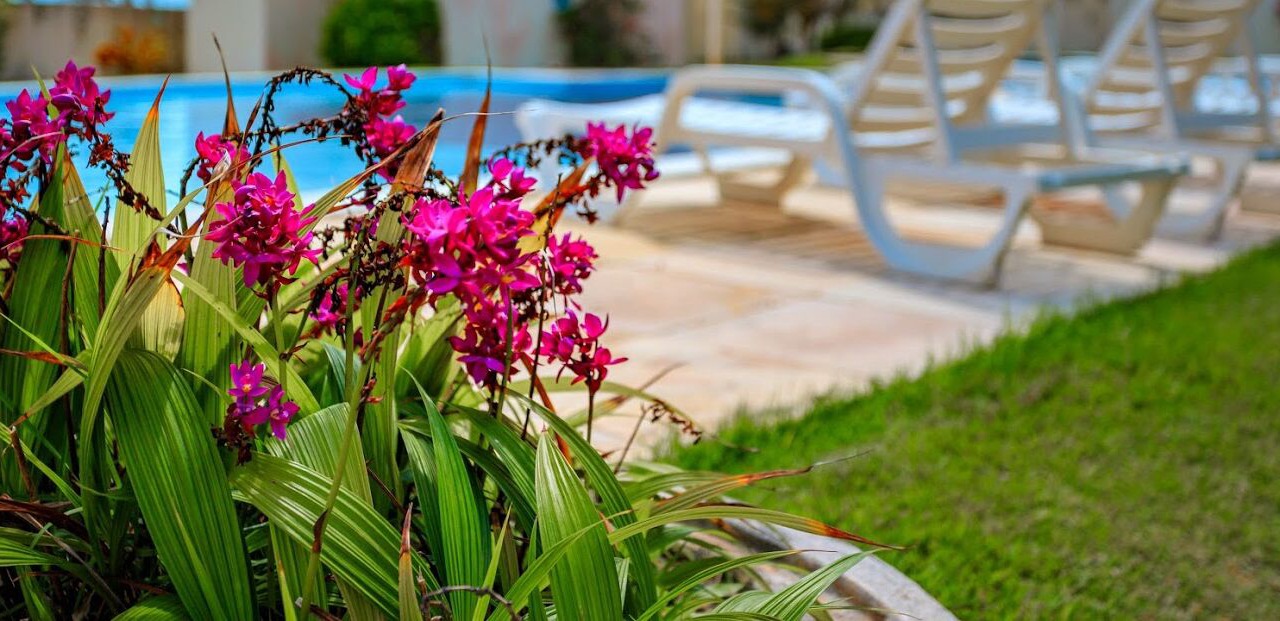 Photo of Outdoor in Maracajau