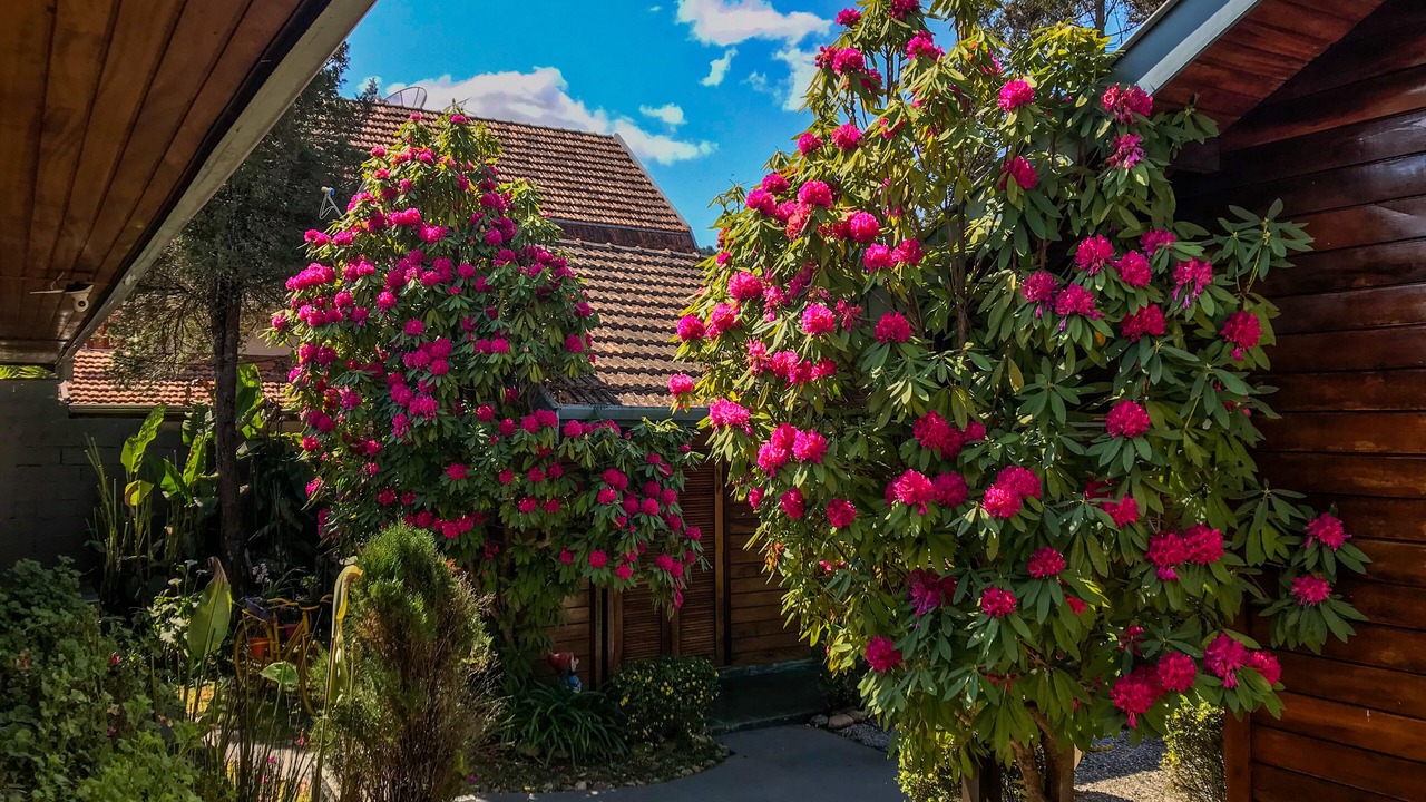 Photo of Outdoor in Jardim Andira